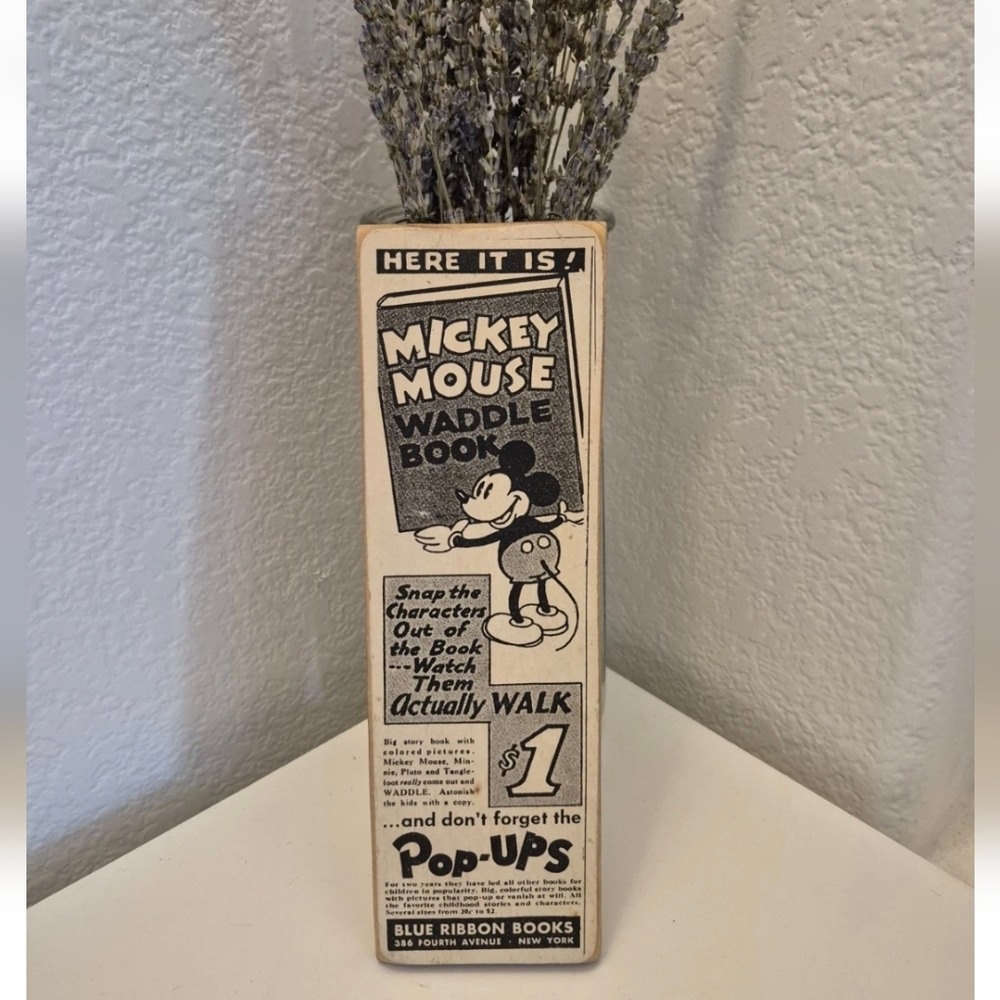 Mickey Mouse Waddle Book